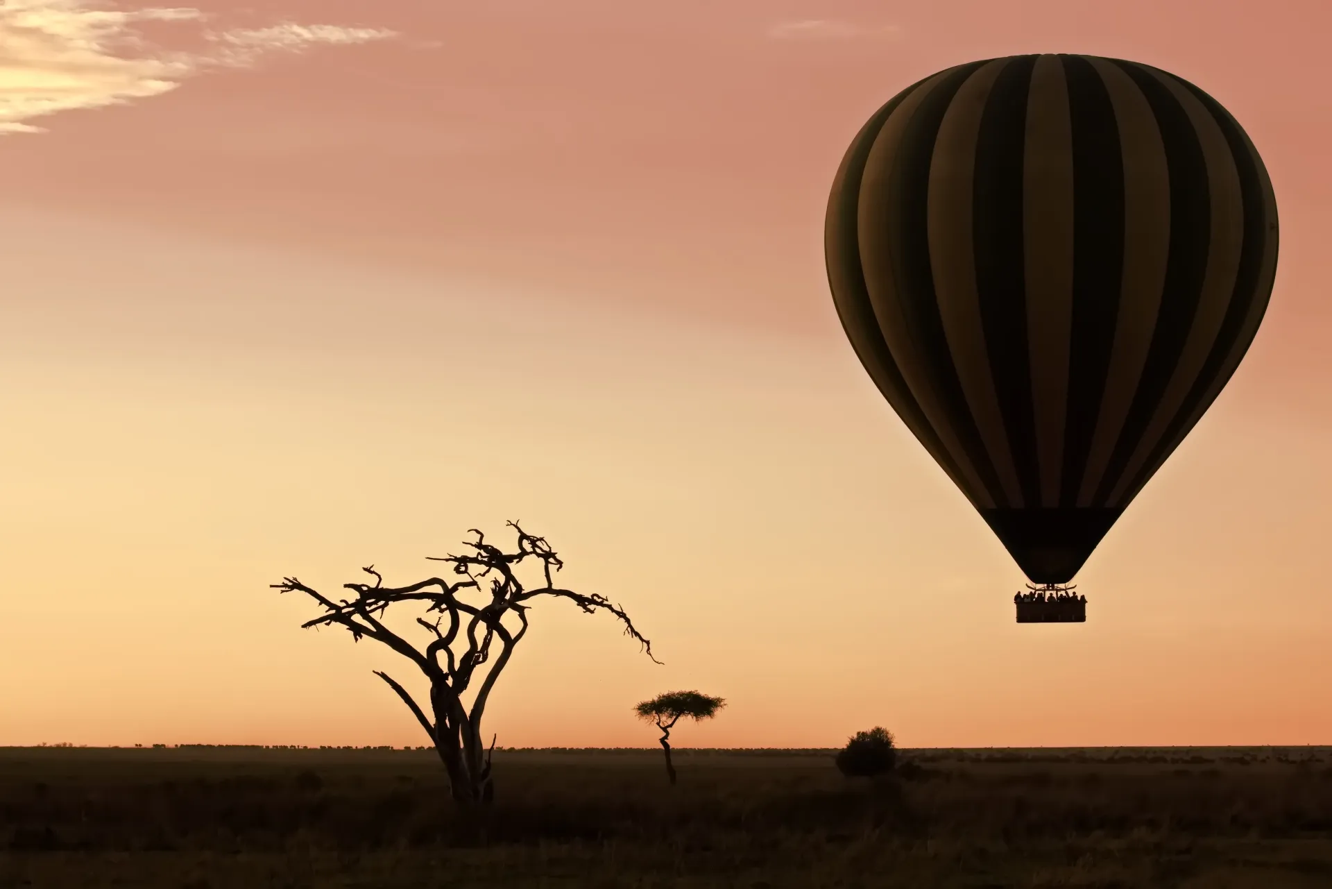 4-Day Serengeti Fly-In Safari