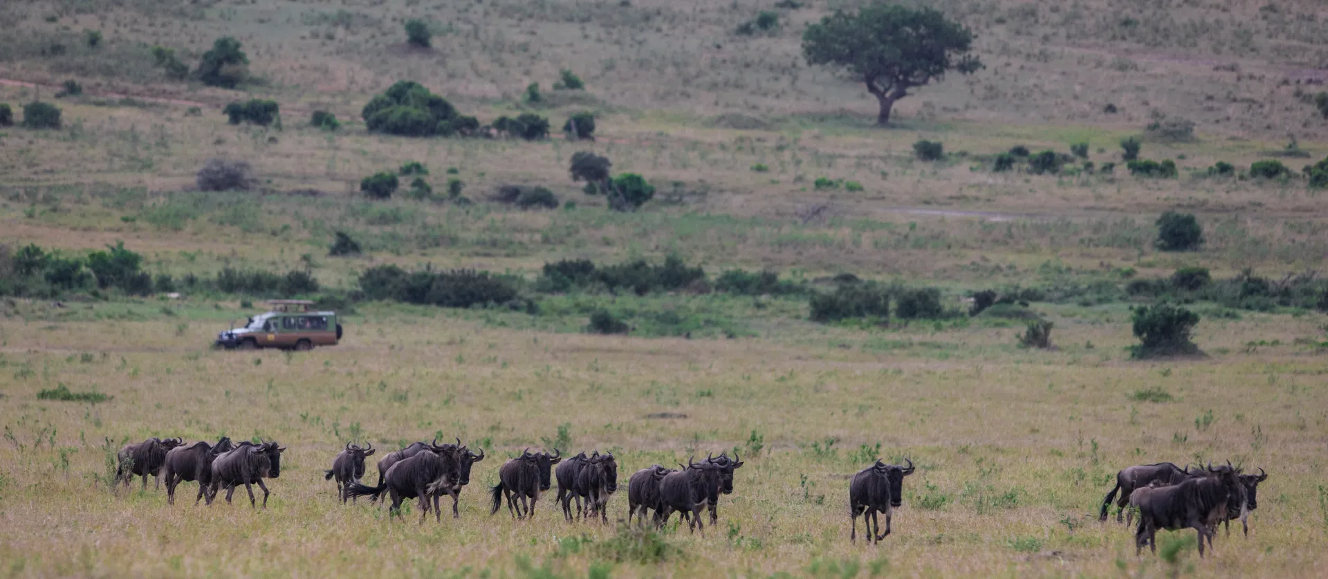 7-Day Signature Safari