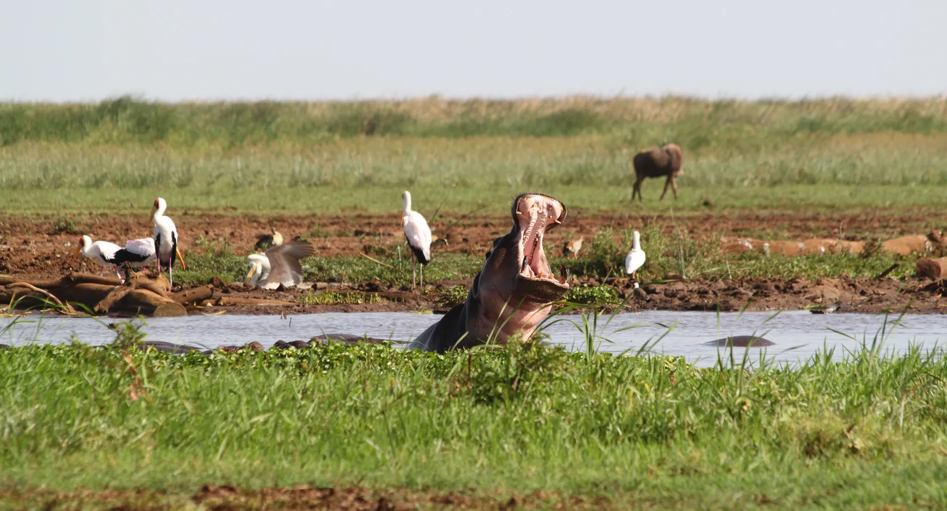 Lake Manyara