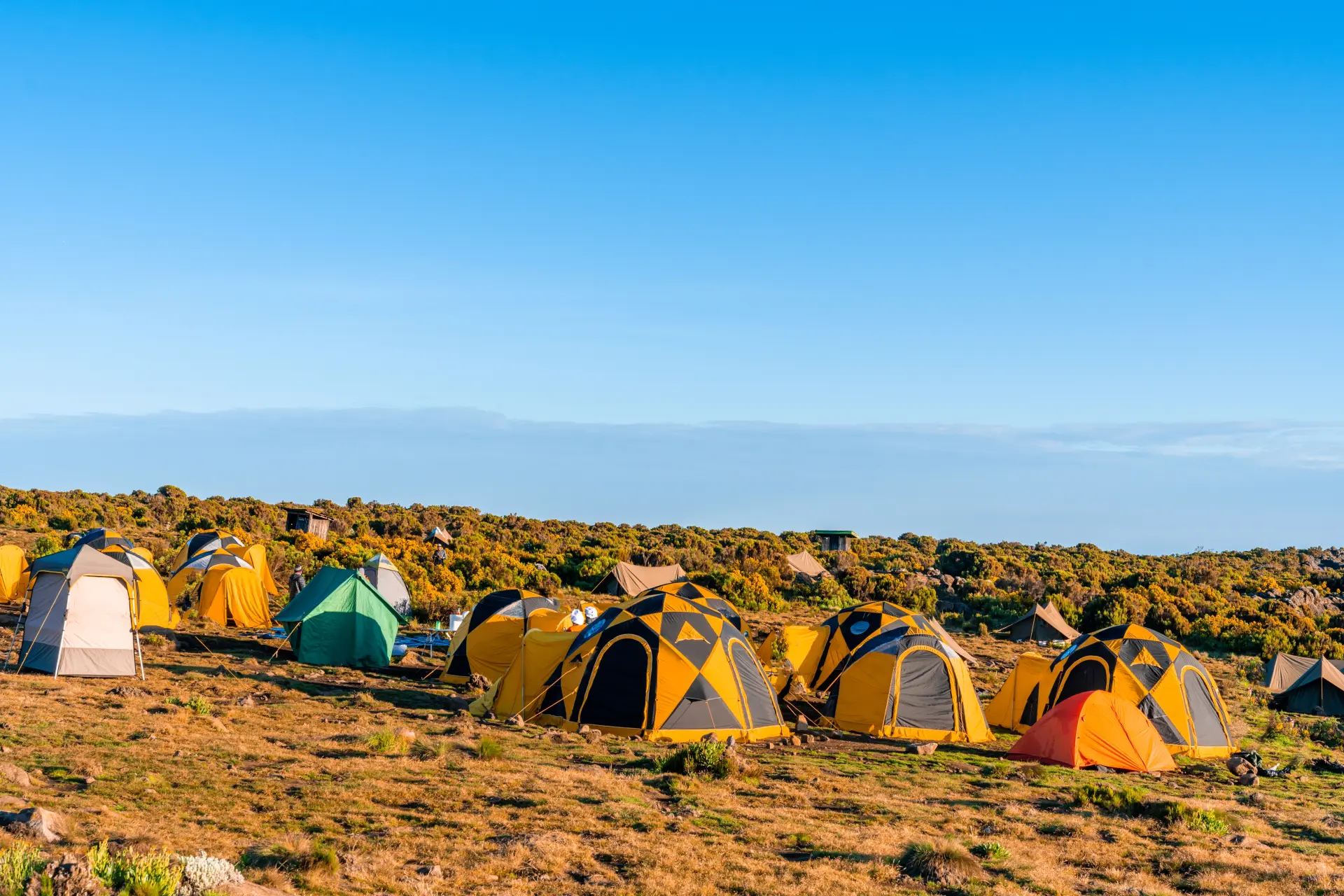 4-Day Budget Camping Safari